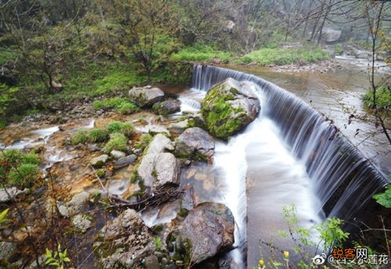 春暖花开杨柳绿 安排一场翠华山登山之旅