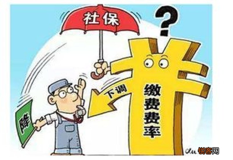 职工失业后如何申领失业保险金？