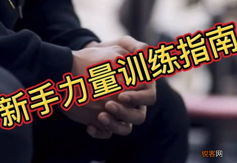 新手的力量训练都有哪些