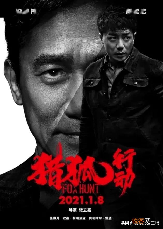 21年上映的几部热门电影,哪一部电影最好看？