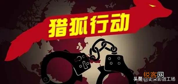 21年上映的几部热门电影,哪一部电影最好看？