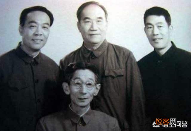 你认为当年票选的十大笑星水平如何？