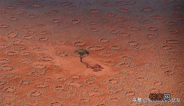 关于非洲,你最好奇的是什么,有哪个地方最想去？