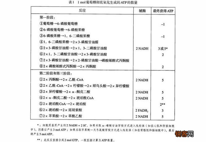 1mol葡萄糖水解生成什么 1mol葡萄糖完全氧化分解