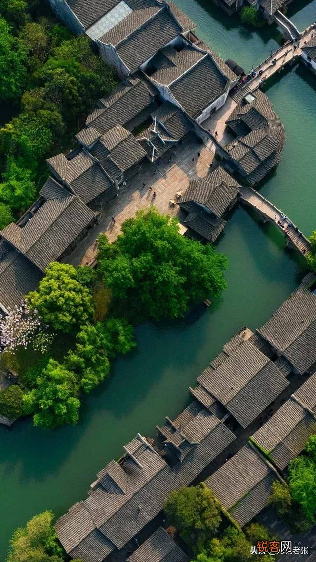 “怜悯”和“善行”距离有多远？