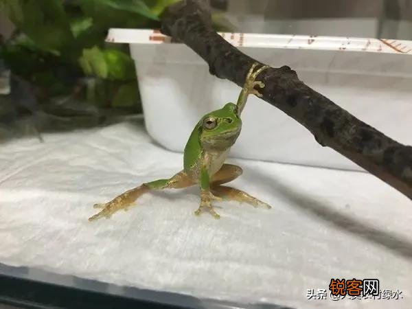 老人们常劝人“积阴德”,传统文化的“阴德”到底是什么？