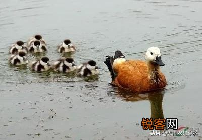 老人们常劝人“积阴德”,传统文化的“阴德”到底是什么？