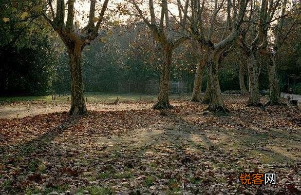 怎么理解“不知他人苦莫劝他人善”这句至理名言？