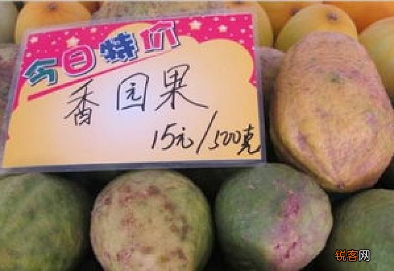 香园果是什么水果 香园果怎么吃