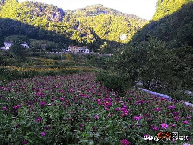 人,生而平等吗？