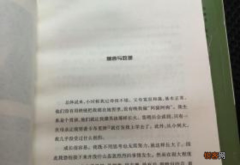 闪亮的日子作文10篇