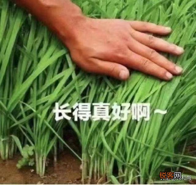 想做电商不知道卖什么好?