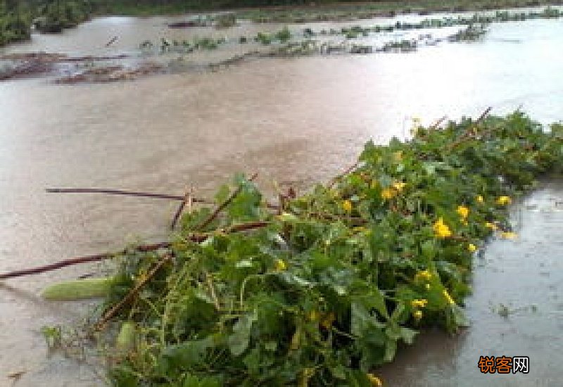 梦见发大水是什么意思 梦见涨洪水是什么意思