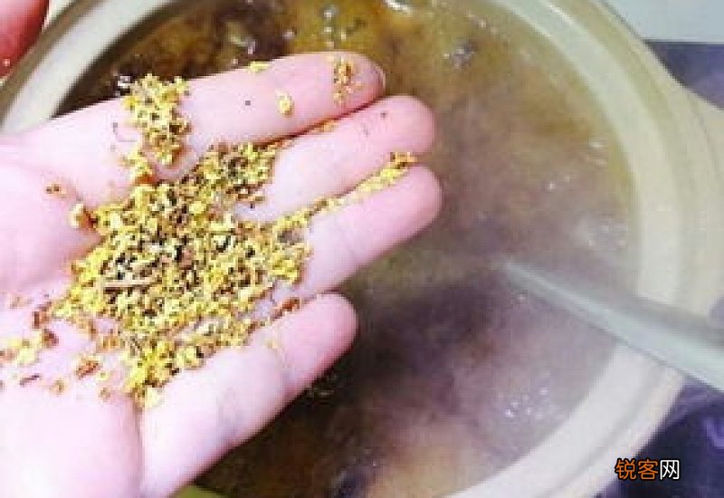 芋苗的功效与作用 芋苗的功效与作用及食用方法