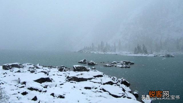 “千山鸟飞绝,万径人踪灭”。表现了作者怎样的意境？