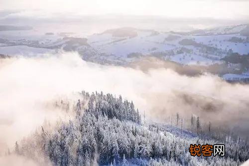 “千山鸟飞绝,万径人踪灭”。表现了作者怎样的意境？