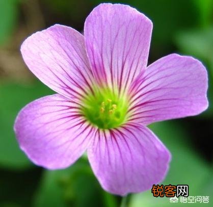 你觉得平凡和平庸的差别是什么？