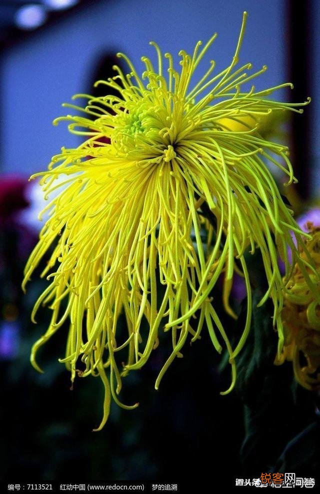 中秋节到了,中秋节是怎么兴起,有典故吗？