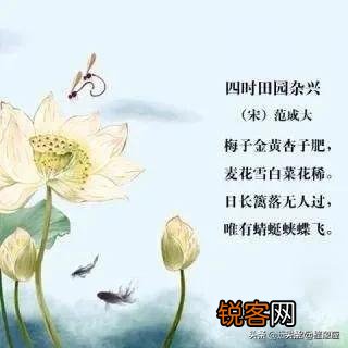 日长篱落无人过,惟有蜻蜓蛱蝶飞。到底是农忙还是农闲呢？