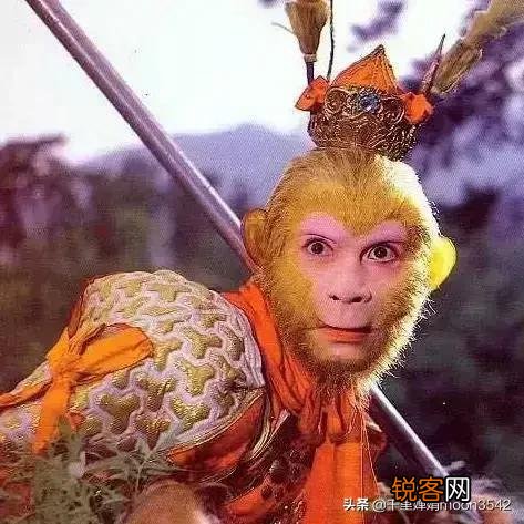 一个没有追求,整天混吃等死的人,该如何拯救他？