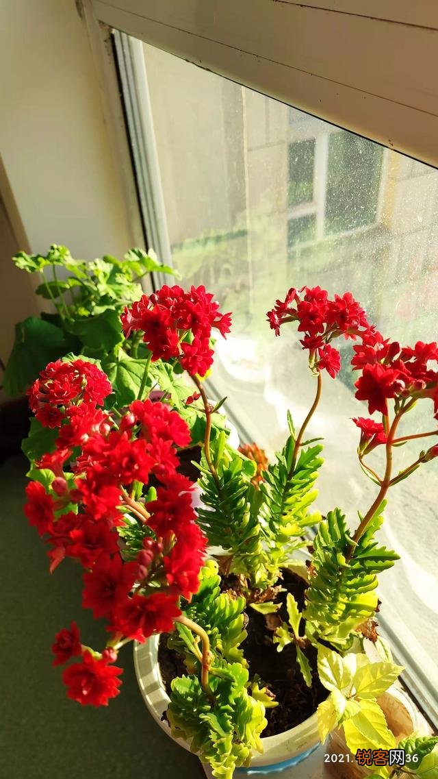 一个没有追求,整天混吃等死的人,该如何拯救他？
