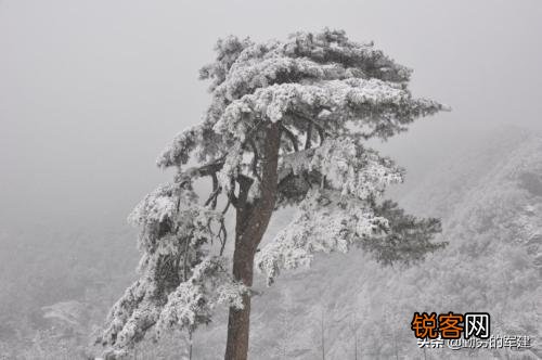 描写雪景的优美句子有哪些？