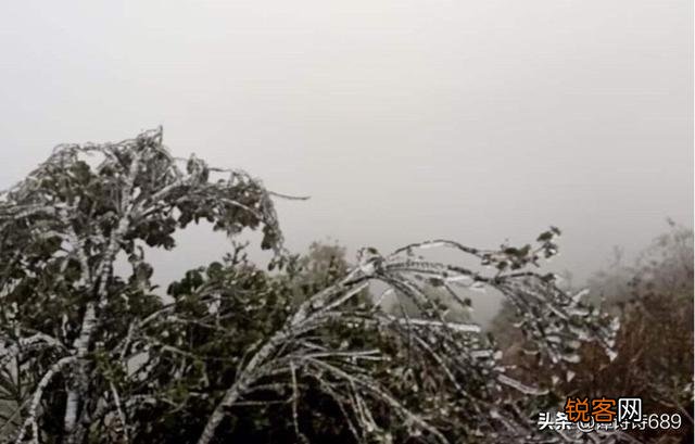 描写雪景的优美句子有哪些？