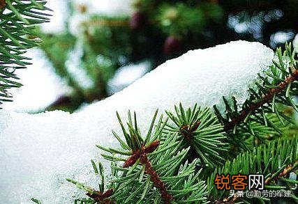 描写雪景的优美句子有哪些？