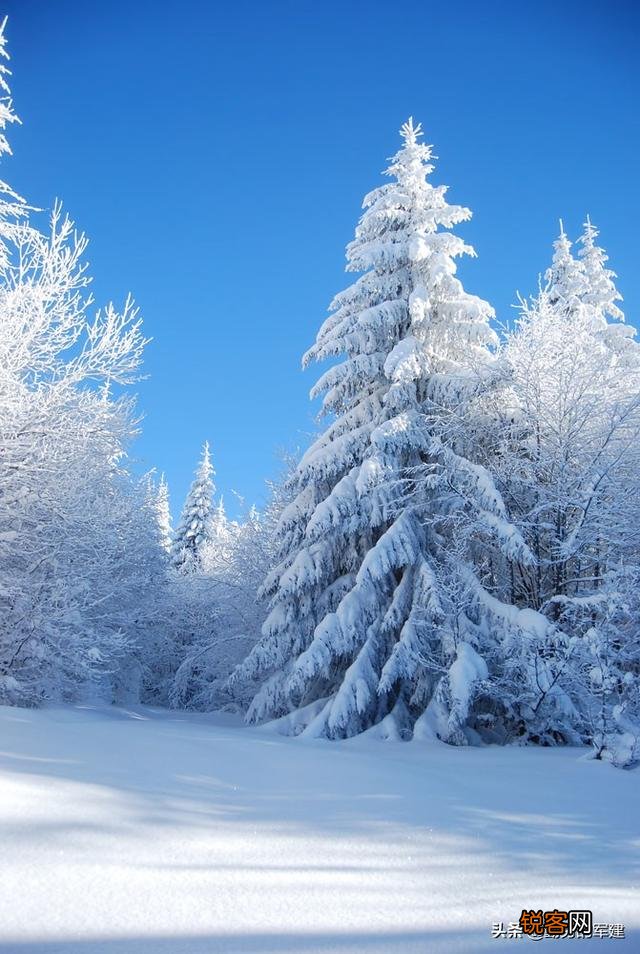 描写雪景的优美句子有哪些？