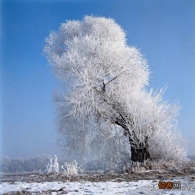 描写雪景的优美句子有哪些？