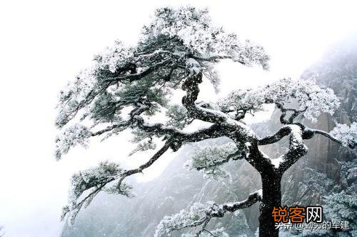 描写雪景的优美句子有哪些？