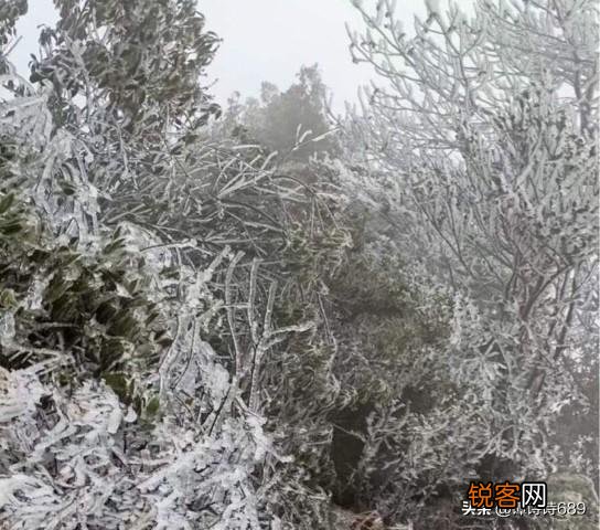 描写雪景的优美句子有哪些？
