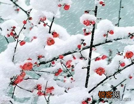 有哪些描述“风”“雨”“雪”的诗词可以分享一下？