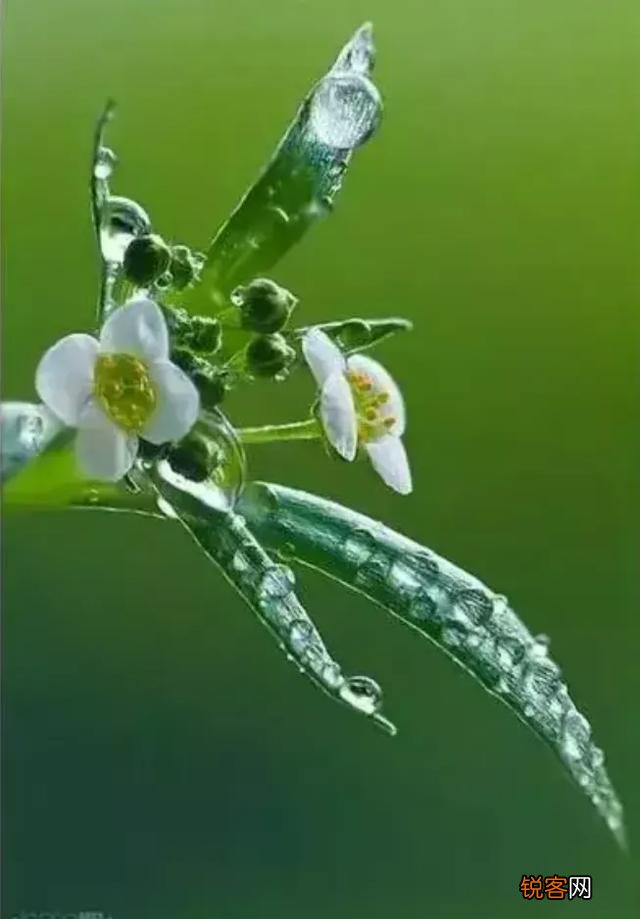 有哪些描述“风”“雨”“雪”的诗词可以分享一下？