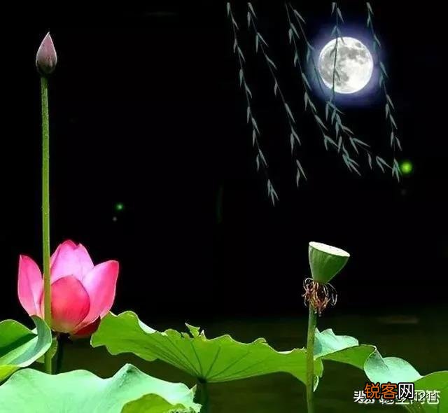 有哪些描述“风”“雨”“雪”的诗词可以分享一下？