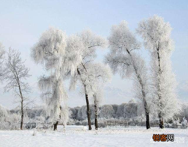 描写雪花的诗句有哪些？