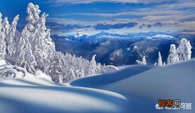 描写雪花的诗句有哪些？