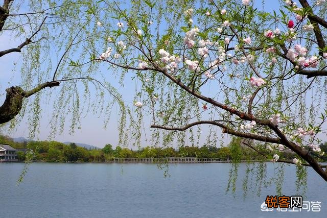 杭州西湖十景旅游攻略及适宜时间是什么？