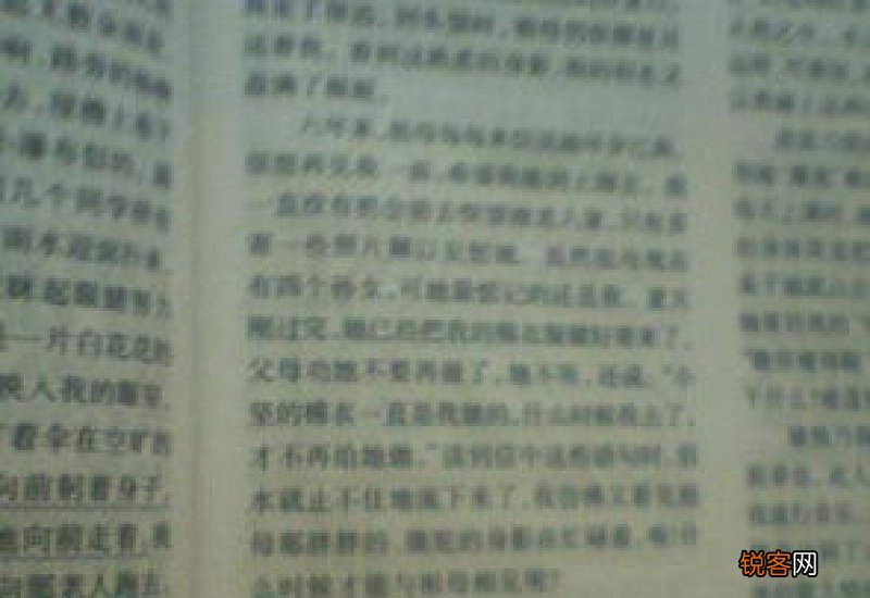 关于背影的中考满分作文