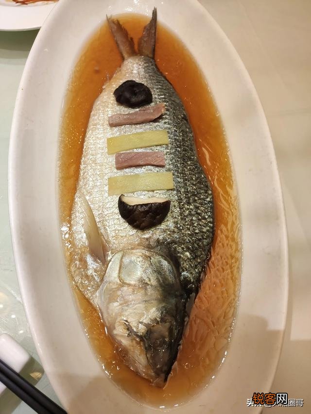 鲥鱼是不是绝种了？已有30年没看到它了？