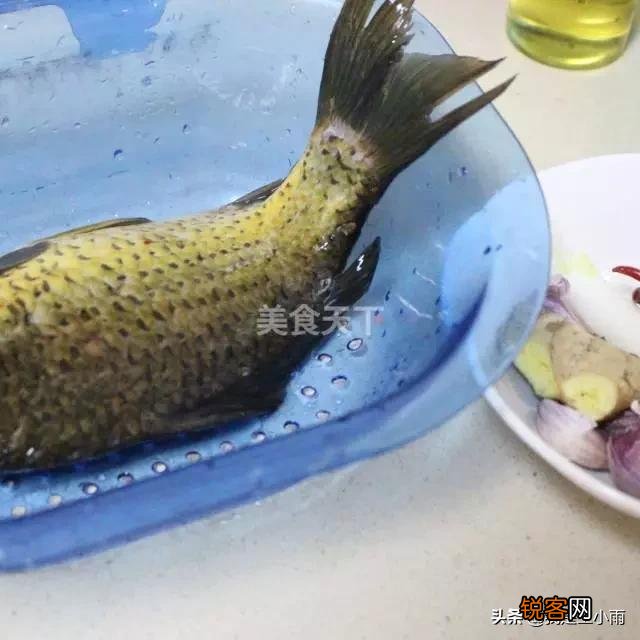 鲥鱼为什么感觉都只做一半？