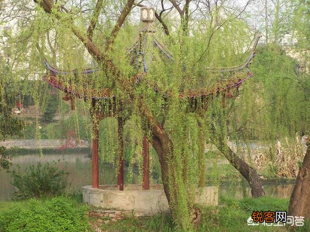 扬州鲜笋趁鲥鱼,烂煮春风上巳初。说与厨人休斫尽,清光留此照摊书。这首诗如何理解？