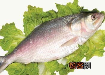 长江三鲜是什么？