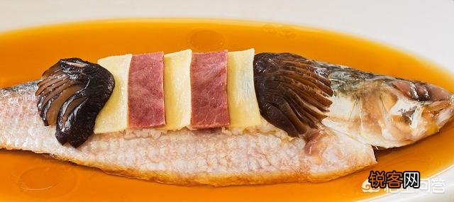 鲥鱼是不是名贵的食用鱼？