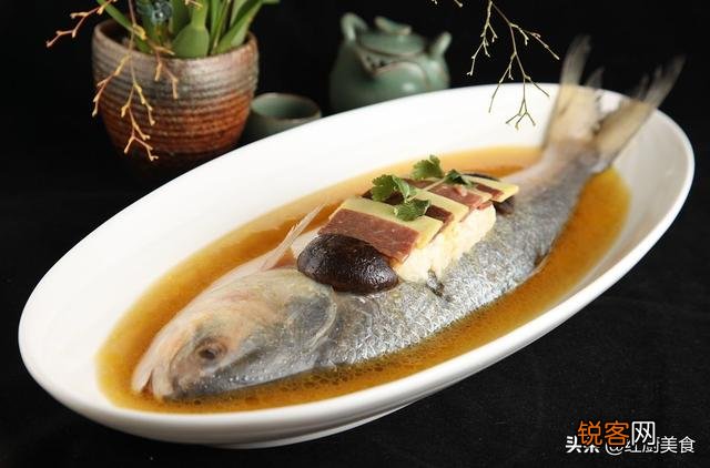 鲥鱼是不是名贵的食用鱼？