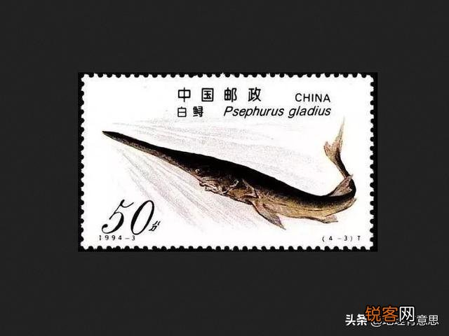 长江白鲟为什么会灭绝？