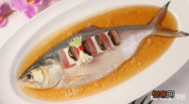 长江三鲜是哪三种鱼？您都吃过吗？