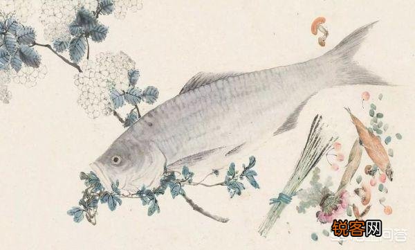 长江三鲜是哪三种鱼？您都吃过吗？