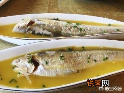 长江三鲜是哪三种鱼？您都吃过吗？