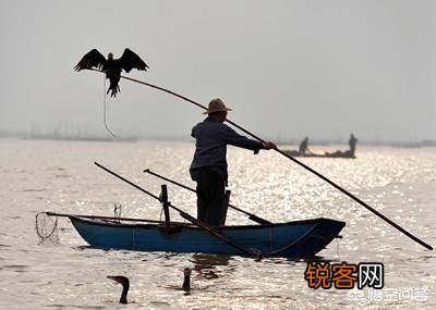 长江三鲜是哪三种鱼？您都吃过吗？